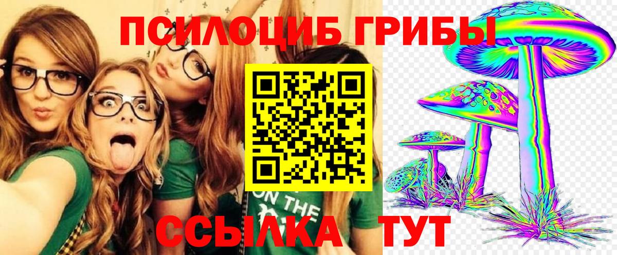 Химки  Псилоцибиновые грибы Psilocybe  Вход с VPN  Галлюциногенные грибы прущие грибы 