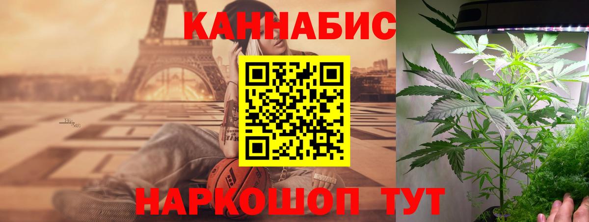 Конопля планчик Химки
